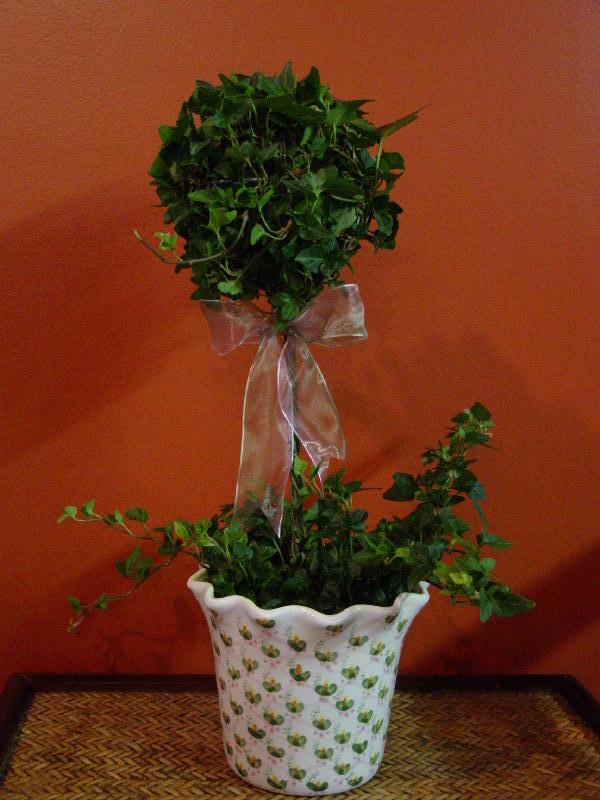 Description: Description: Ivytopiary2006